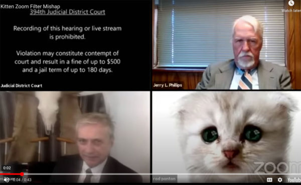 Lawyer in Zoom courtroom gets stuck in kitten filter – Daily News
