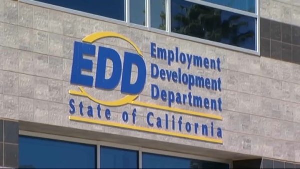 EDD Website is Down as People Struggle in COVID Pandemic – NBC Los Angeles