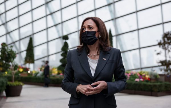 Kamala Harris ‘View’ Interview Delayed, Hosts Positive for COVID – NBC Los Angeles