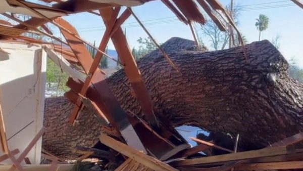 Winds Down Trees Around SoCal, Crushing One Ontario Home – NBC Los Angeles