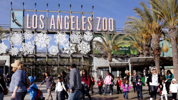 LA Zoo Announces Major Donor Interest in Honor of Betty White – NBC Los Angeles