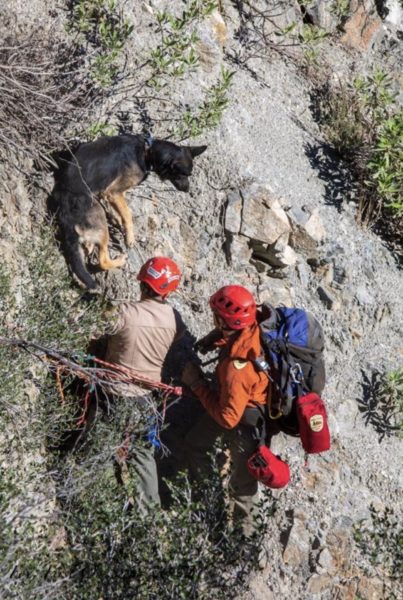 Big Tujunga Canyon Rescue Saves Hiker and Pup – NBC Los Angeles
