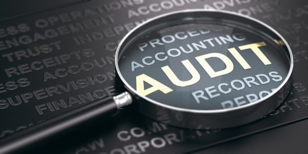 Why this kind of audit is good for you – Daily News