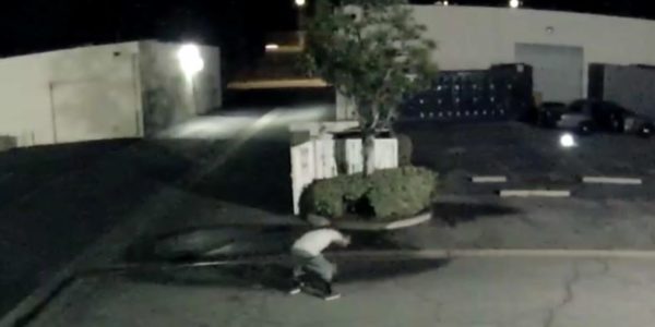 Man Caught on Camera Beating Dog – NBC Los Angeles