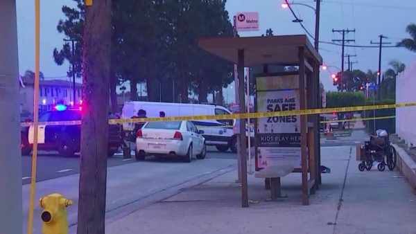 Hit and Run Crash Kills Pedestrian in West Athens – NBC Los Angeles