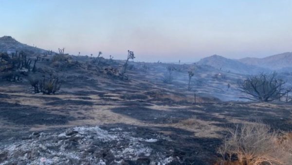 Yucca Valley Fire Burns 250 Acres – NBC Los Angeles