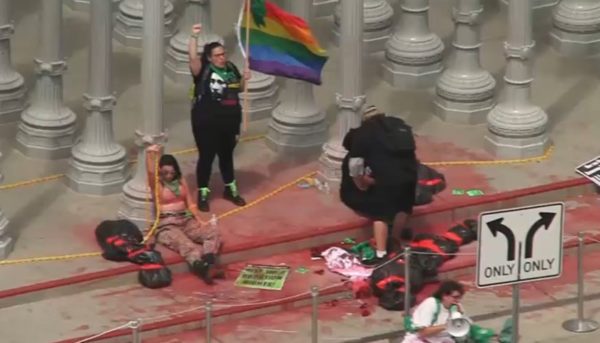 Two Arrested at LACMA During an Abortion Rights Protest – NBC Los Angeles