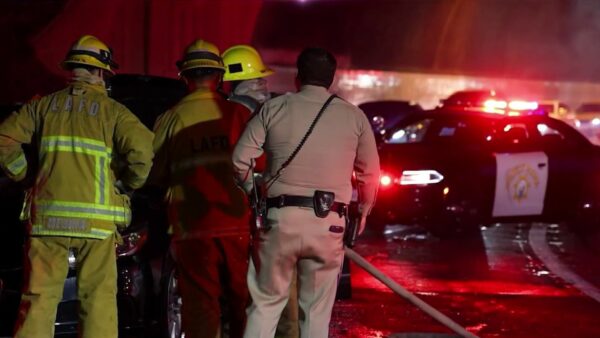 Person Found Dead in Car Fire on 110 Freeway – NBC Los Angeles