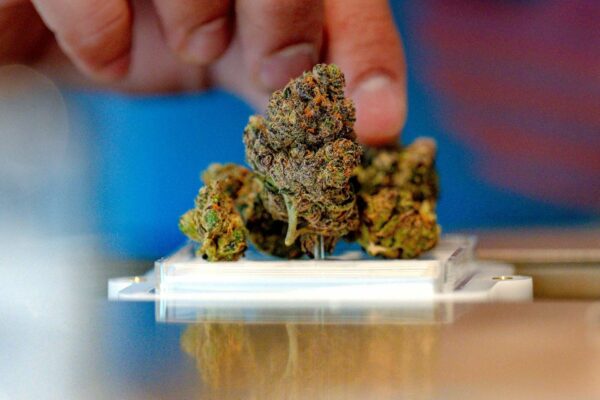 California OKs bill to protect workers’ home pot smoking