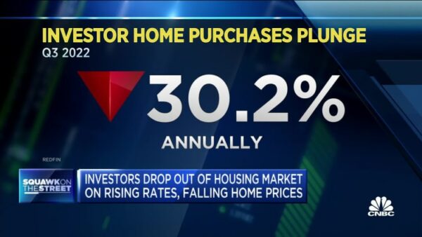 Investor home purchases drop 30% as price gains slow