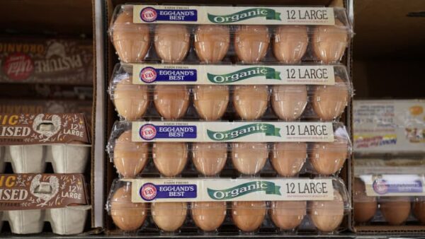 Taylor Swift says fans will reduce high egg prices. 3 things to know