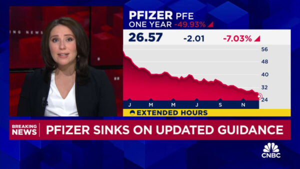 Pfizer 2024 revenue, profit forecast disappoints