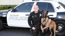 Retired Fullerton Police K-9 Titan undergoing cancer treatment – NBC Los Angeles