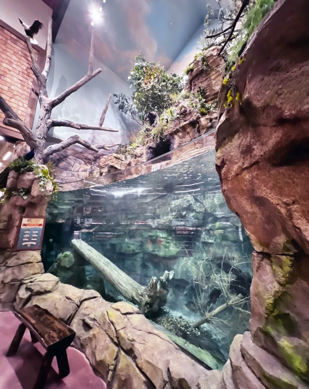 Bass Pro Shops Outdoor World opened Wednesday, March 27 in Irvine. The outfitter is known for its large aquariums stocked with local fish. (Jonathan Lansner/SCNG, Orange County Register)