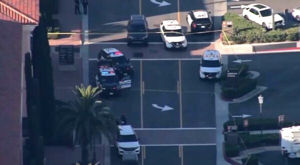 Woman killed in Newport Beach mall robbery attempt identified – NBC Los Angeles